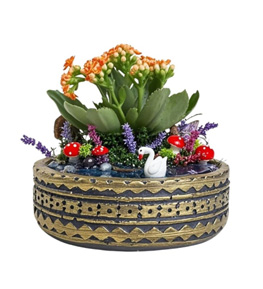 Antik Desenli Mini Teraryum 12