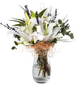 Beyaz Lilyum Buketi Saksıda
